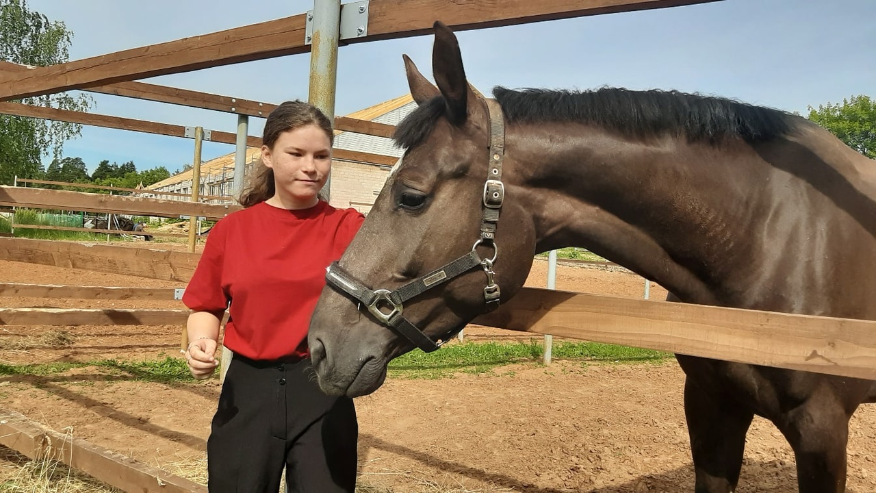 Анна, Ижевск: стажировка в поле с конём - Хранители детства